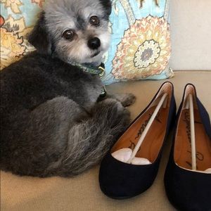 American Rag Navy Blue Flats